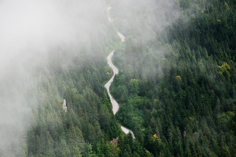 Eco-Friendly Travel