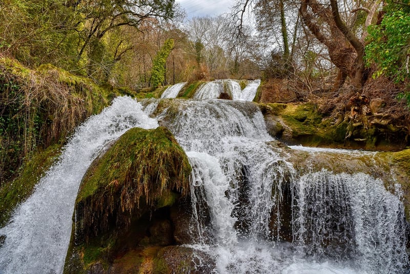 Waterfall in the forest